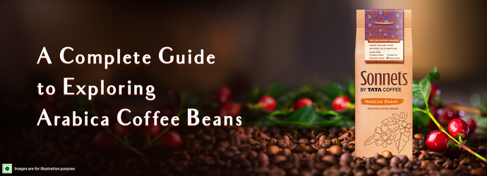 A Complete Guide to Exploring Arabica Coffee Beans