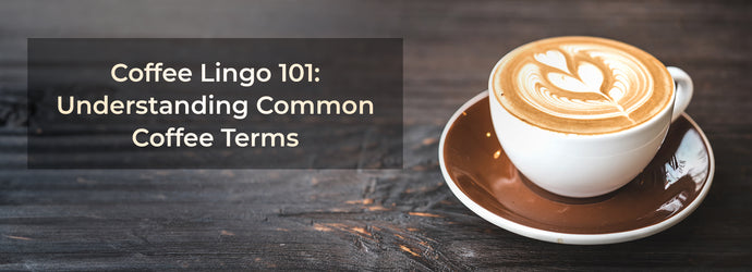 Coffee Lingo 101: Understanding Common Coffee Terms