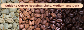 Guide to Coffee Roasting: Light, Medium, and Dark