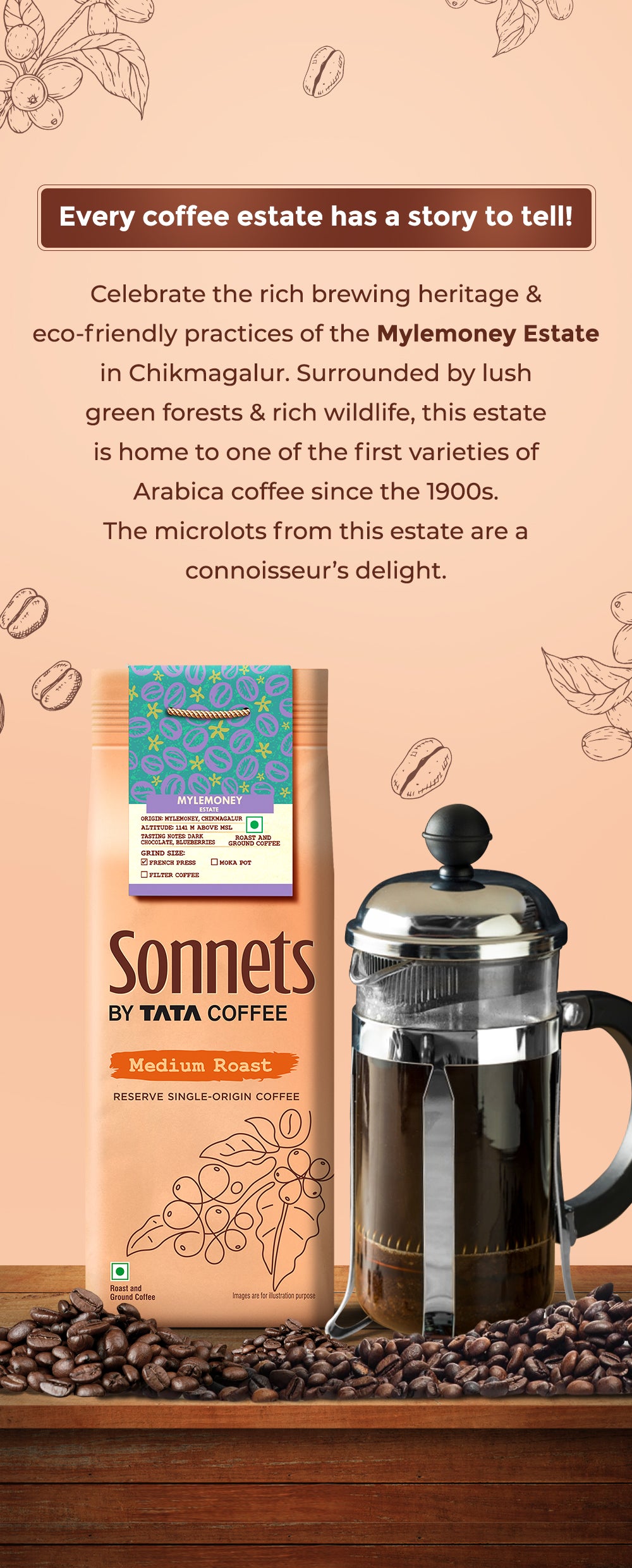 Coffee Without Can You Make Filter Coffee In French Press French