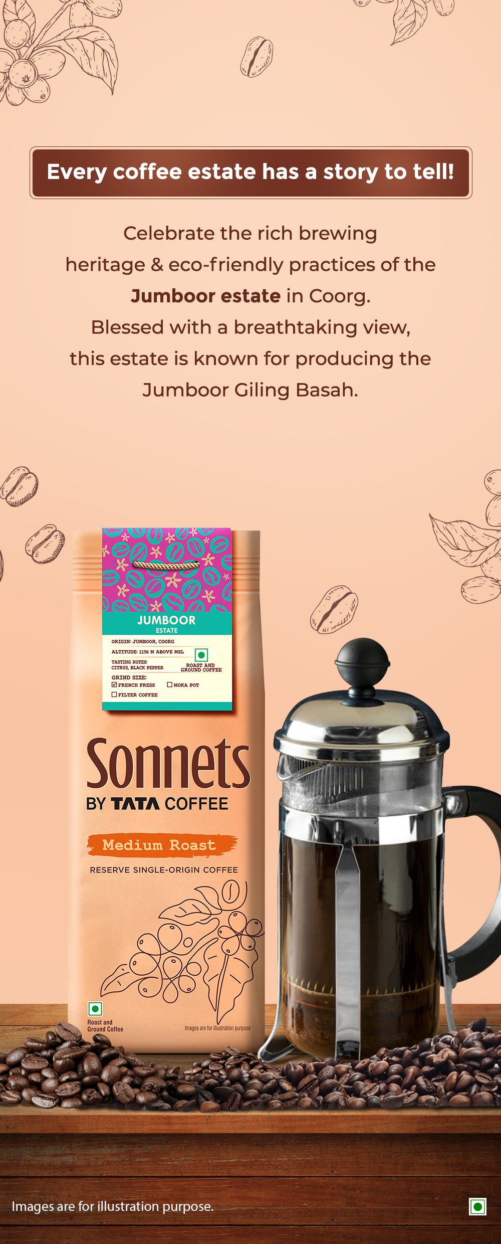 Ground Coffee Beans Best Type Of French Press BODUM Bean French