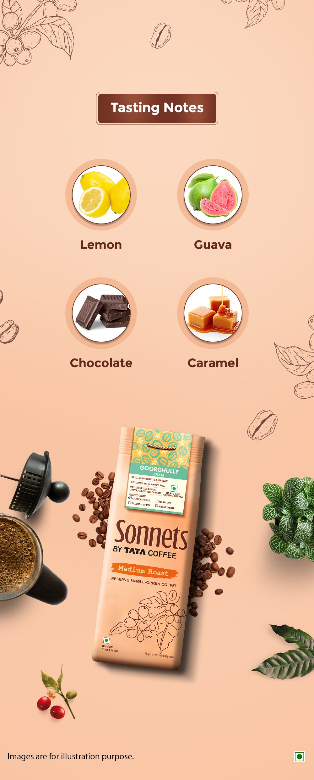 Medium Roast French Press by Tata Coffee